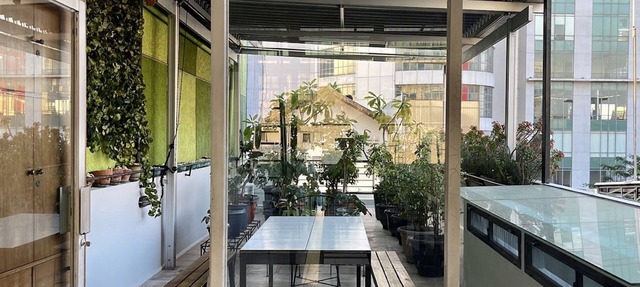 The Packer Lodge - Hostel