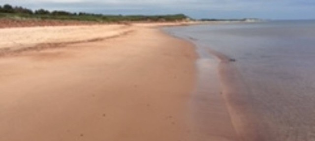Tiny Perfect Cottage On PEI's North Shore