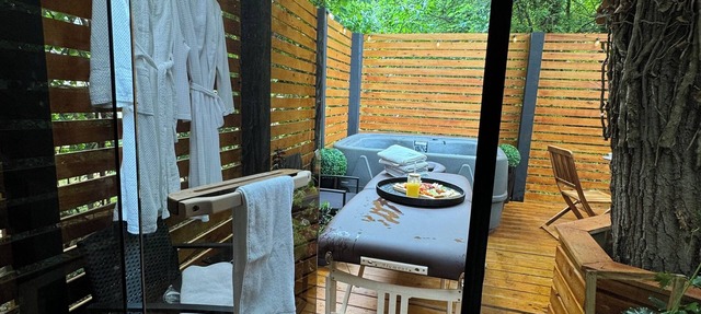 Tiny tree house