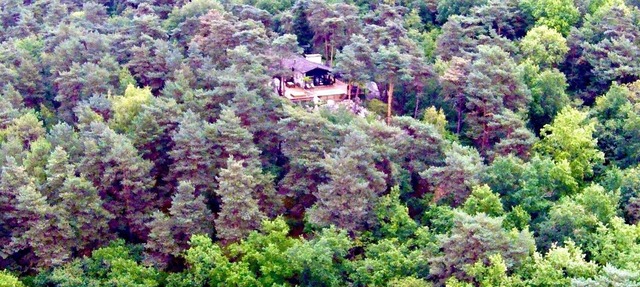 Two architect houses in the forest