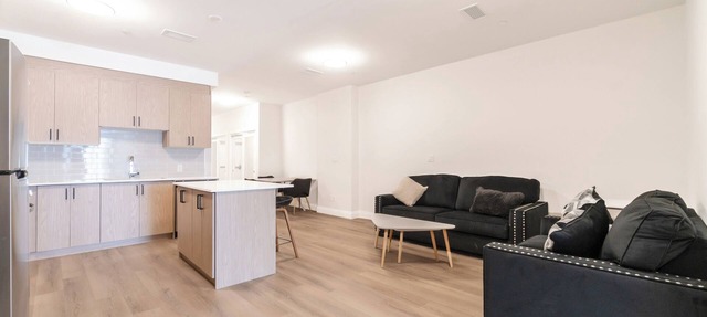 Unit 9 - Modern Fully Furnished 2 Bedroom Apartment