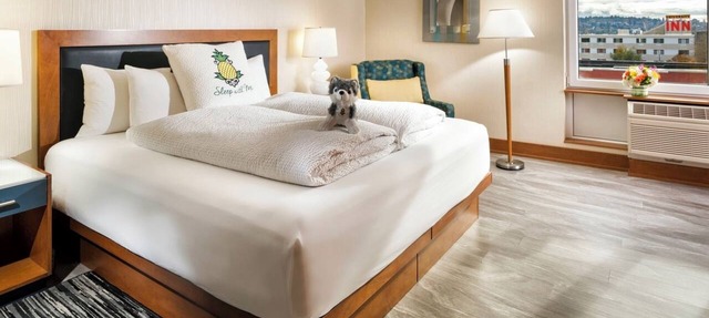 University District Stay | 1 King Bed | Near Roosevelt Way