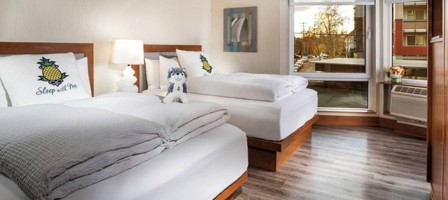 University District Stay | 1 King Bed | Near UW Campus