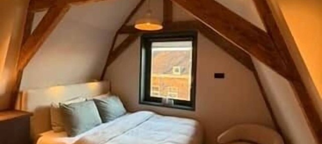 Vermeer - luxury authentic room at Museumplein