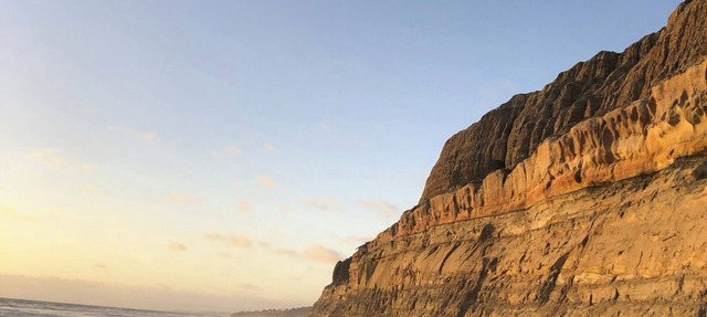 Walk to Torrey Pines Beach! 'beachwalk Bungalow'