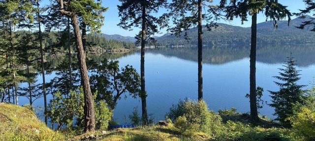 Waterfront! Tiny House Sweet-Suite perched in the forest on the oceanfront.