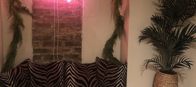 Welcome to the Jungle pad!