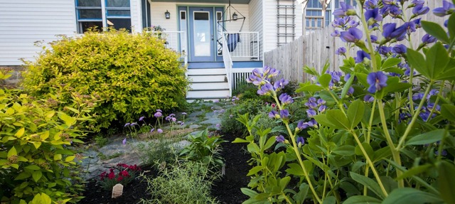 Willard Beach Get Away - Dog Friendly - Steps from the shore!