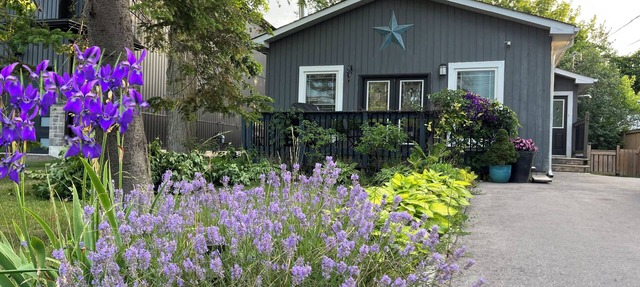 Willow Beach Renovated Cottage Retreat. Pet-Friendly!
