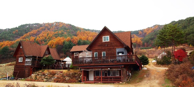 "WON" Suite Liun Pine Tree Cabin