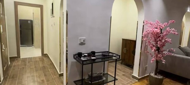 Wonderful apartment in zamalek