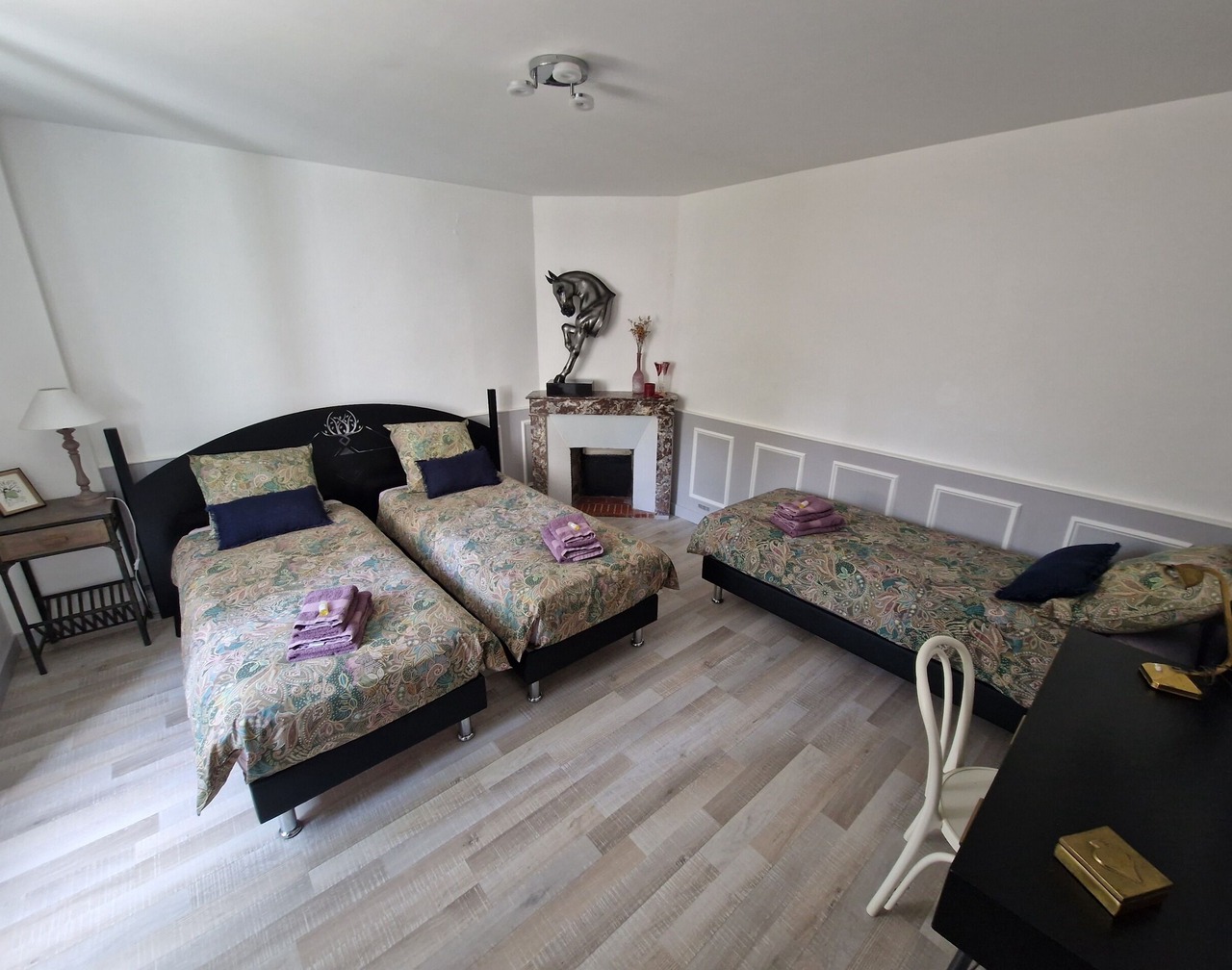 Aliénor-Apartment-Family-Terrace-Ensuite with Bath 1