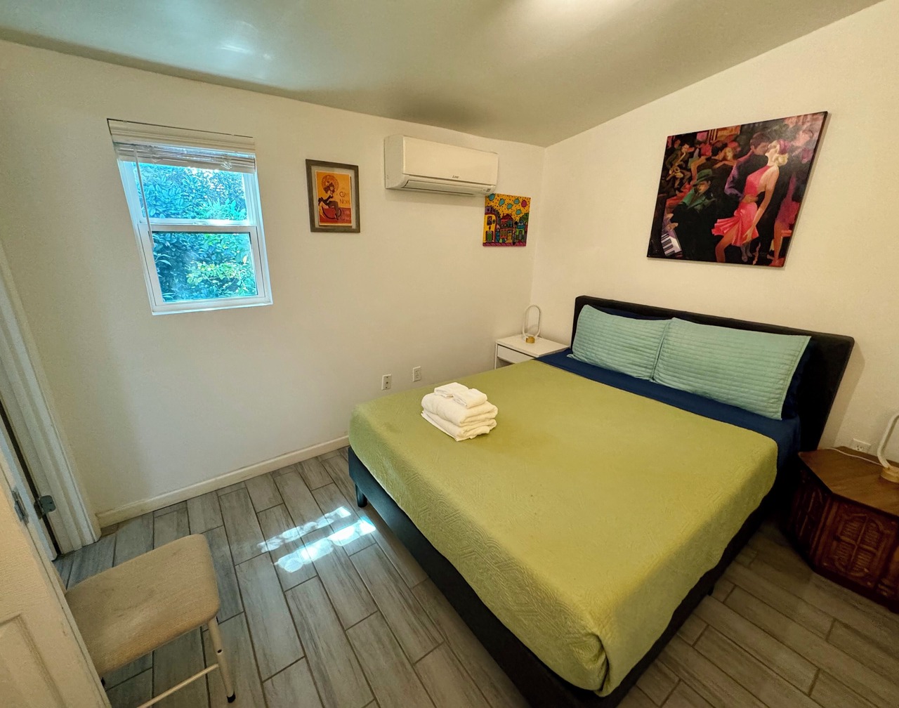 1 BR Apartment with Courtyard walking distance to Magazine street Art District 1