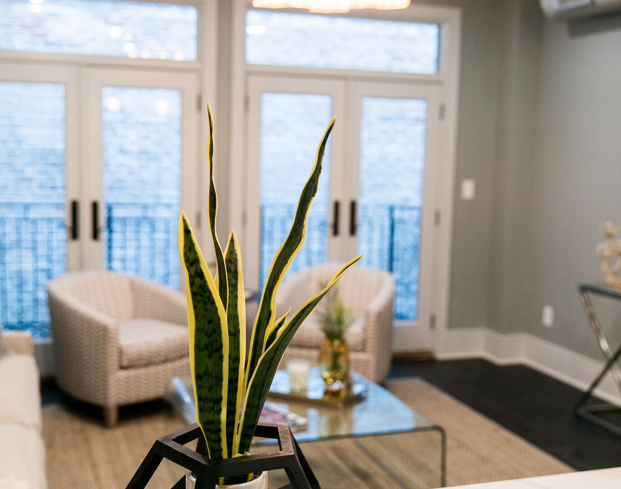 Modern Comfort: Stylish & Cozy Retreat in New Orleans' CBD 1