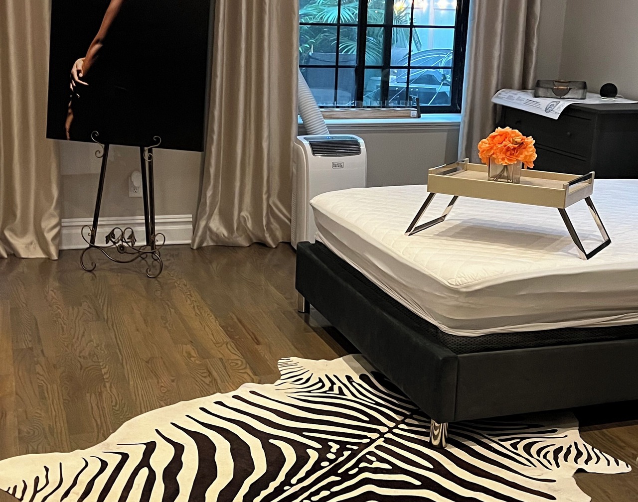 1 Large studio APARTMENT NEWLY RENOVATED with backyard 1