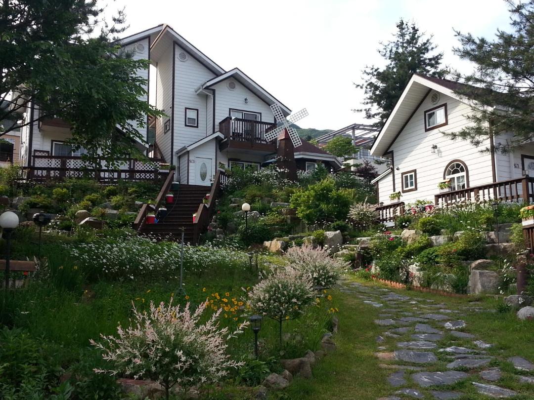 Sunny House 1