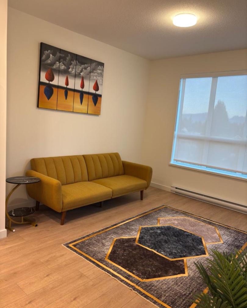 Modern luxury 1