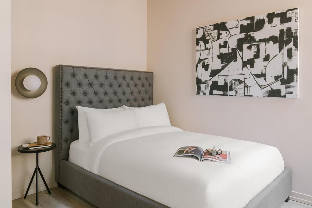 LIVN West Loop Chicago 2 BR City View 1