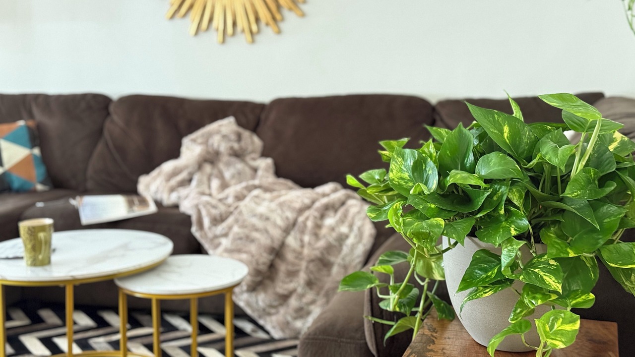 148 5-Star Reviews - Walk to Rodeo Dr - 1100 sqft Apartment