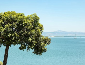 AC Hotel by Marriott San Francisco Airport Oyster Point/Waterfront 3