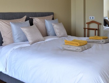 Prestigious apartment with terrace next to the Hotel de ville 2