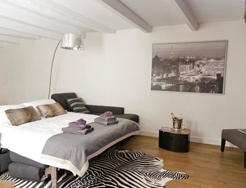Ecrin à Bijoux - Central and Charming apartment with A/C in historical property 2