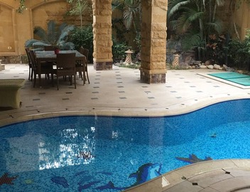 Delightful standalone villa with swimming pool 5