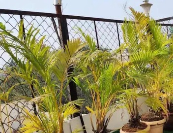 Sky Studio Classy place view of Mumbai in Heart of city and tourist place. 5