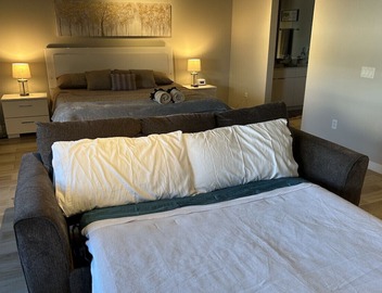 Sparkling Juhl byFremont-1 queen 1 sofa bed TONS of Amenities 3