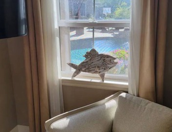 t Adorable- Entire Guest House: Pool, Hot Tub, Beautiful Fountain & Huge Patio! 5
