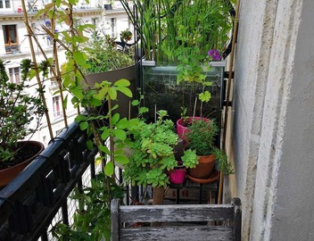 Charmant Appartement vue Sacré Coeur à 10 min de la Gare du Nord 4