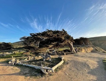 New Coastal Home🐠 Steps to pier🐢 16mins to SFO✈️ 4