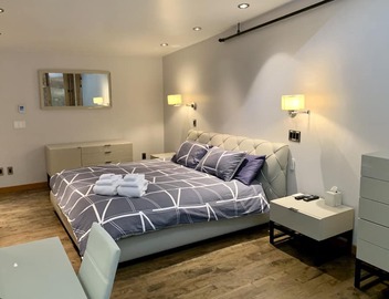 Stylish Gastown Loft/Soaker Tub, Steam Shower & Wood Stove 3
