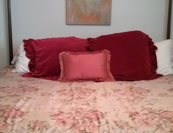 3 Bed 2 Bath On St Charles With 2 Parking Spaces Across From Street Car Stop 2