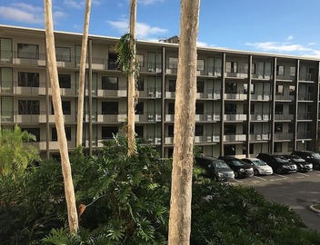 3 Lake Buenas Vista Family Units: Disney-World Shuttle, Aquatic Playground 3