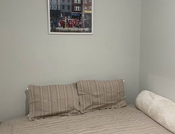 Beautiful 3 Bedroom located 10 minutes from Downtown 5
