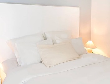 Golden Triangle Apt. – Montaigne/George V 5