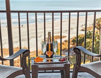Marvelous Oceanview Suite/Dogs OK! 3
