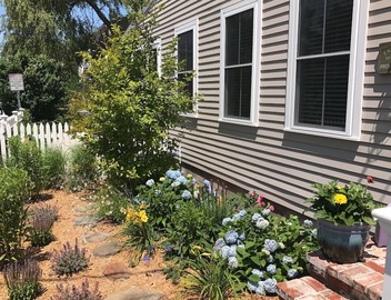 Your Getaway in the West End - Sleeps 4! 3