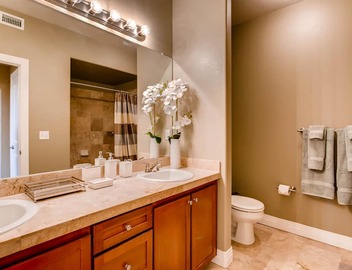 MountainViews Walk 2 Lightrail Luxury Condo in DTC 4