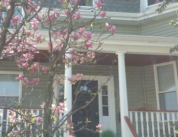 2 bedrooms with air-conditioning, parking, laundry, WiFi near Sam Adams & subway 4
