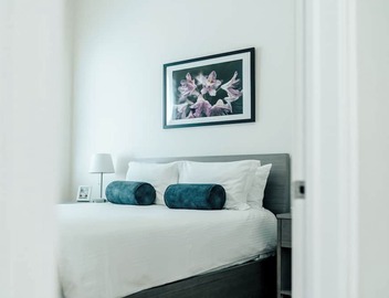 3 Bedroom/2 Bathroom Luxury Suite in Vibrant Andersonville 2