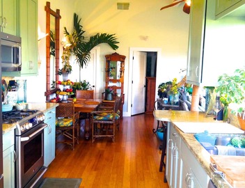 SAN CLEMENTE TROPICAL GETAWAY, OCEAN VIEWS, POOL, BEACH GOLF & RELAXATION! 2