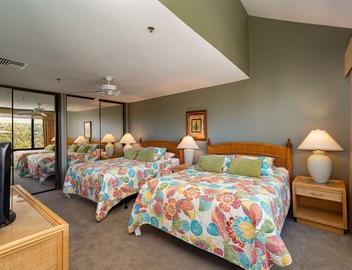 3BD/3BA 5 Star! $525 (8/6 - 10/2) Beach & Sunsets Oceanview - SK474 4
