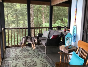 Explore a Unique Off-Grid Waterfront Yurt Getaway on 11 Private Acres! 3