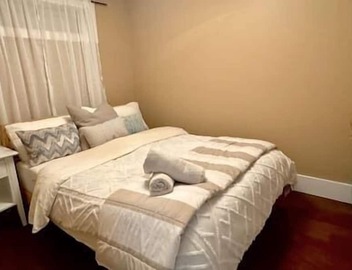 Comfy 1 Bedroom Suite 4