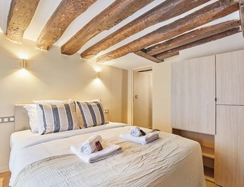 Amazing apartment in Center of Paris 4
