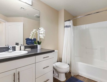 Zircon Zen - Quiet retreat 2BR Pool, Jacuzzi Marina 4