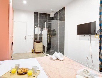 TBS 149 - Spacious, air-conditioned Apt in Paris 2 2