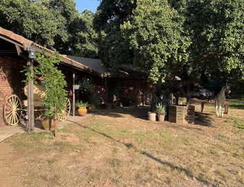 Quiet Country living 1 bedroom guesthouse Huge oak trees pets ok, horse property 3